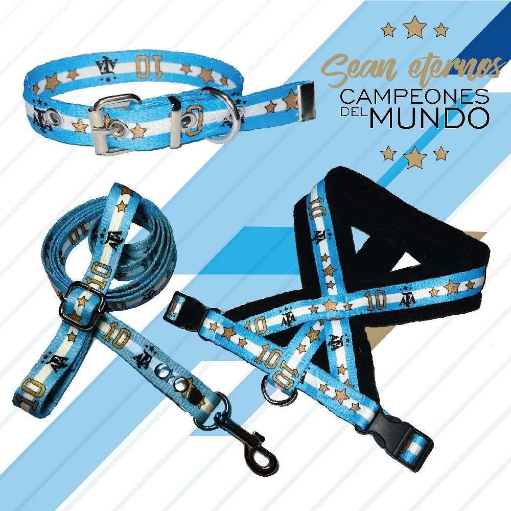 Combo Pretal Collar Correa Afa Campeon Xs