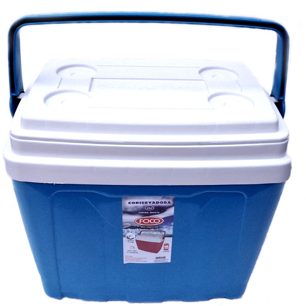 Nevera portátil con asa, 10 litros, polipropileno, porta alimentos para  playa, acampada, camping, 22 x 33 x 24 cm, color azul y