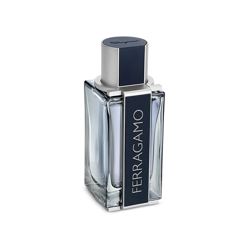 Men's Perfume Salvatore Ferragamo 860384 EDT 100 ml main image 0