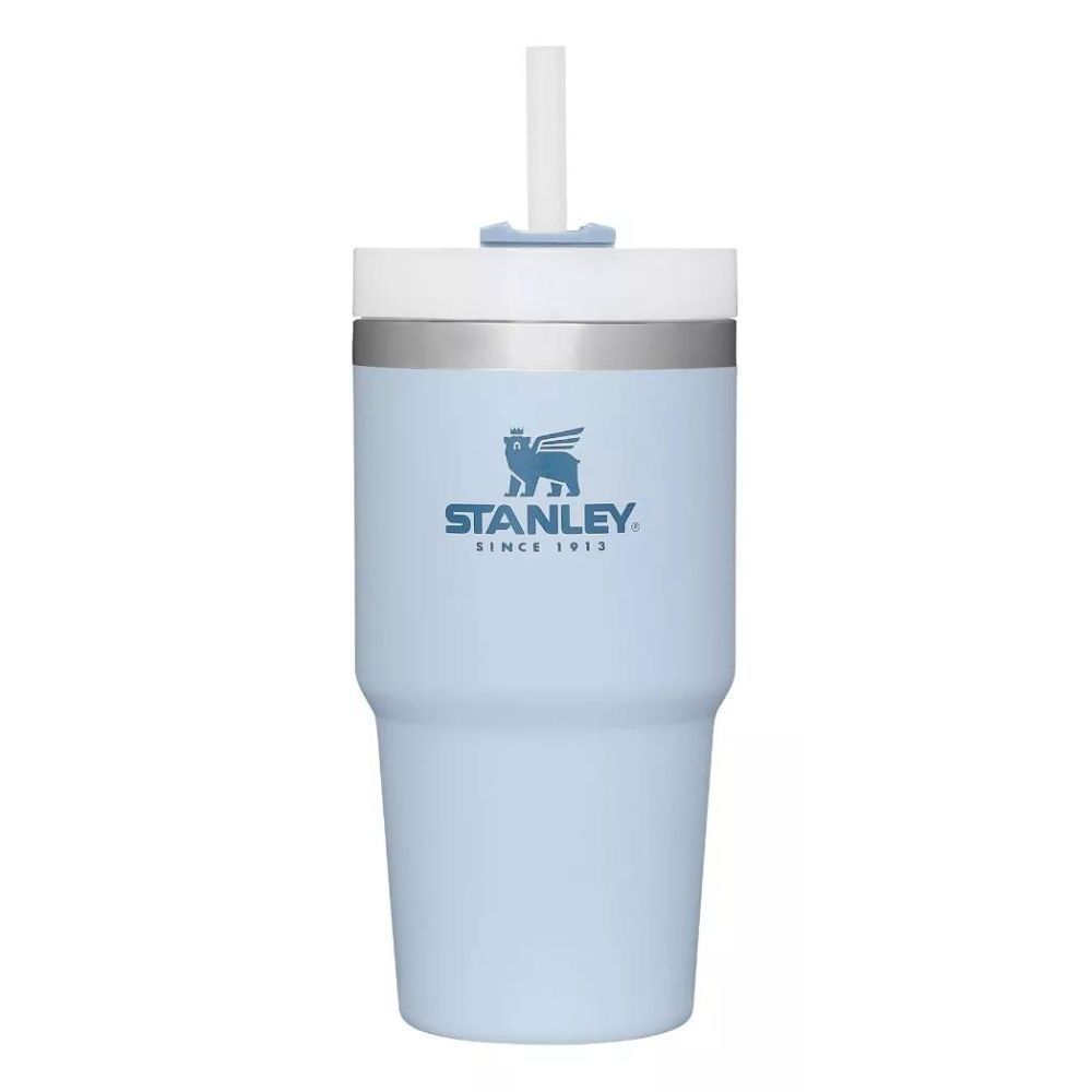 AMSGANK Cannucce di Ricambio per Stanley Cup, Set di 2 Cannucce di