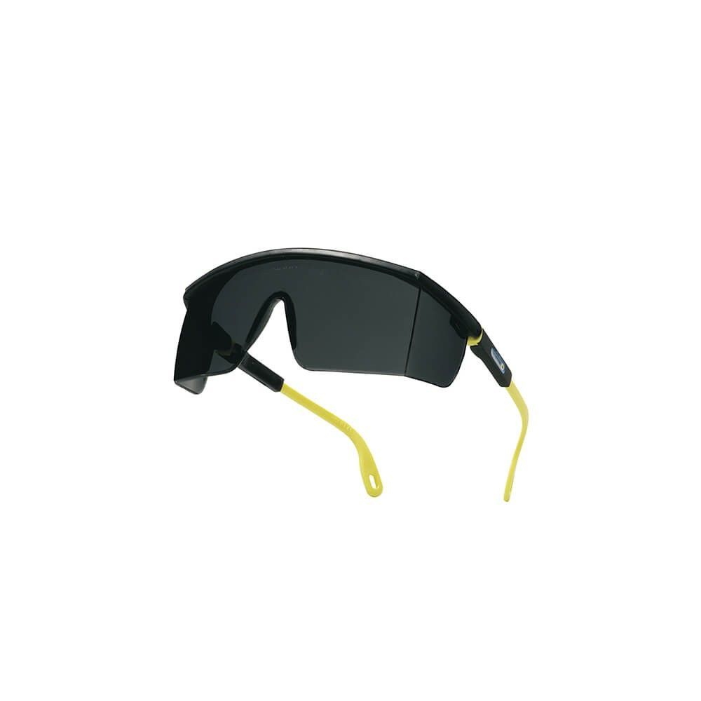 Gafas De Protección Delta Plus ASO2IN - Policarbonato Ahumado, 1 Unidad, Para Trabajo Y Bricolaje