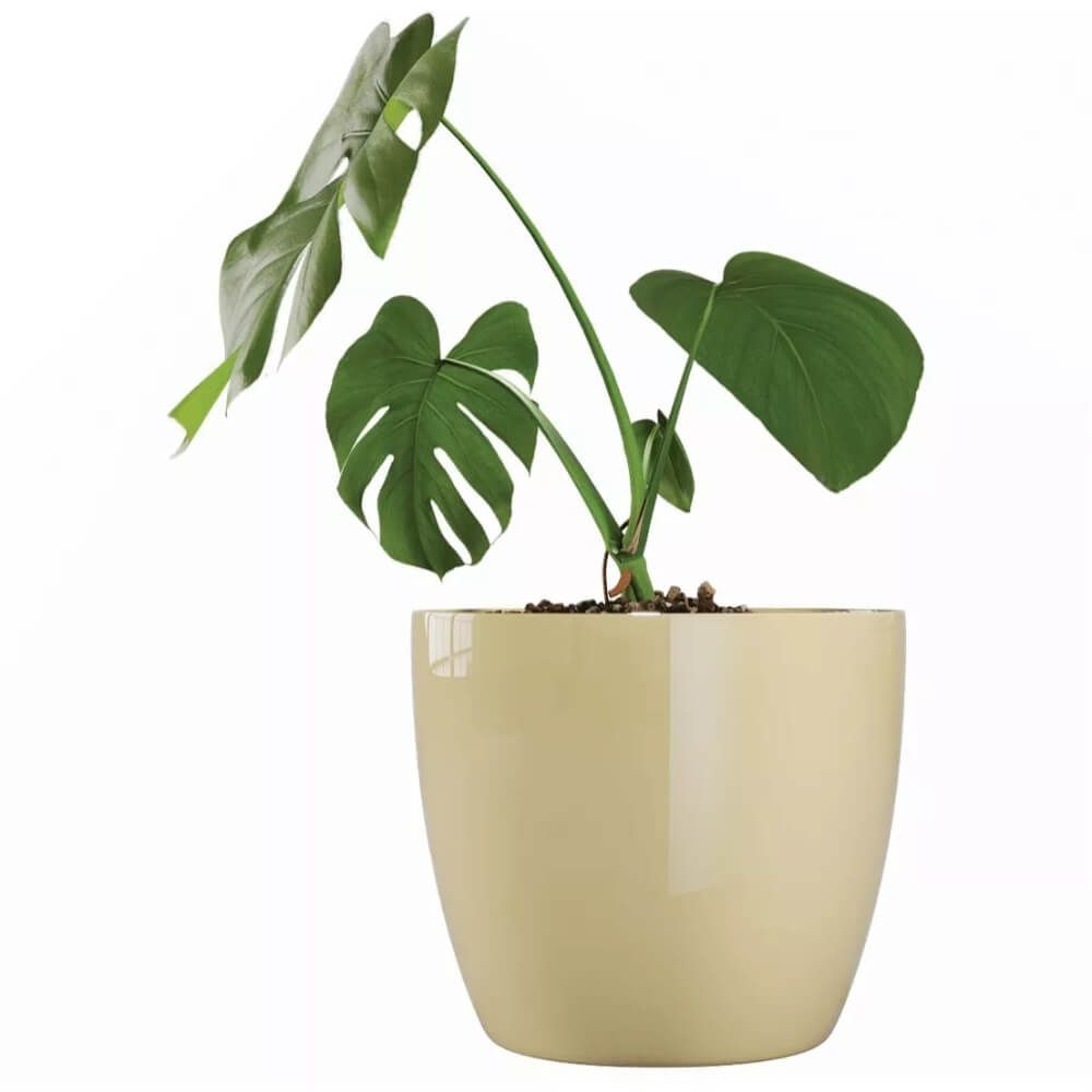 3x Maceta Rectangular De Plastico Tree En Color Gris Hielo 27,5 (largo
