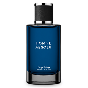 Homme Absolu EDT 100ml by Lucy Anderson
