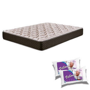Colchón Cannon Exclusive 2 Plazas 140x190 + 2 Almohadas TMS Vellone 70x40