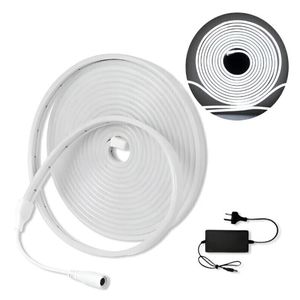 Tira LED Neon Flexible 5m Luz Fría 12V con Fuente | Interior y Exterior Blanca Fria