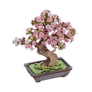 Robotime Puzzle Sakura Bonsai Rolife Tg415