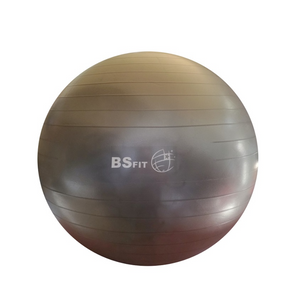 Pelota Esferodinamia de 75 cm Fit Gym Ball 