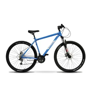 Bicicleta Mountain Bike R29 Acero Gravity Lowrider TM Celeste Blanco