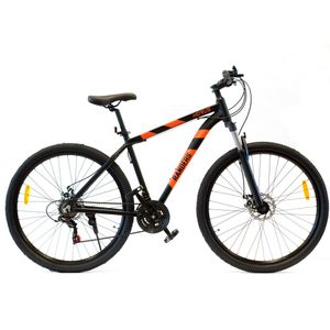 Bicicleta Mountain Bike Rodado 29” Talle L Randers