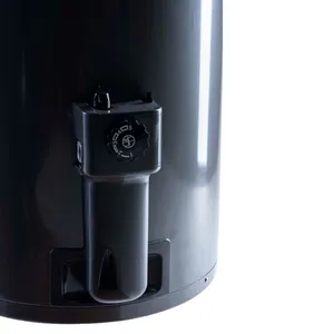 Termotanque Rheem TGNC080RH a Gas Natural de Colgar 80 L