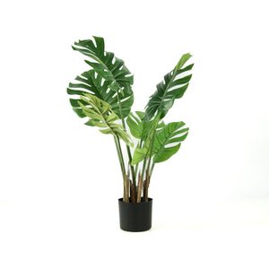 Planta Artificial Costilla de Adán 80cm  