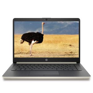 Notebook HP 14 Core i3 10ma 8gb + 240 SSD / Gold Win 10