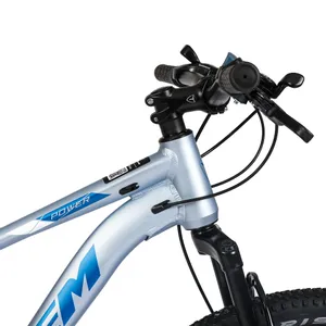 Fuji Nevada Bicicletas Fuji Origen Bicicleta TopMega MTB Totem Aluminio R29  21VEL Gris Talle M 1011457