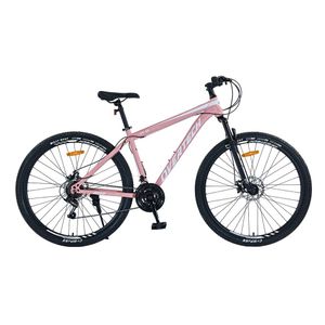Bicicleta Mtb Overtech Q5 R29, 21V Con suspensión, Rosa/Gris Claro M