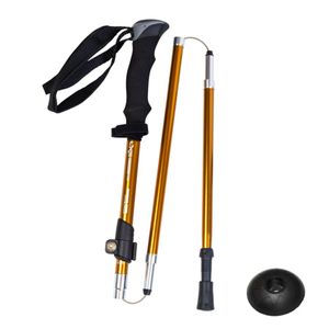Bastón Trekking Running Fast Lock Aluminio 3 Secc X Und