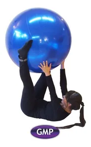 Pelota Esferodinamia Pilates 65 Cm Gmp - Fabricantes Swiss Ball - Yoga  Gimnasia Rehabilitación Fitball