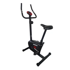 Bicicleta magnética vertical Randers ARG-160