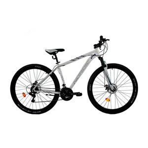 Bicicleta mountain bike rodado 29 online mujer