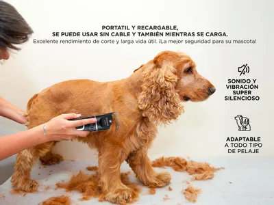 Cortadora de pelo para perros fravega sale