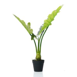Planta Artificial Guembe Clara 60cm 