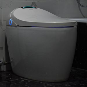 Inodoro Inteligente Triton V6