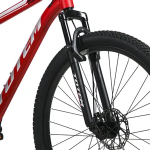 Bicicleta discount totem r29