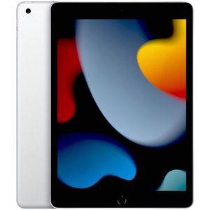 iPad 10,2" Wi-Fi 256GB (9na Gen) - Siliver