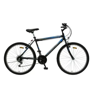 Bicicleta tomaselli best sale rodado 24