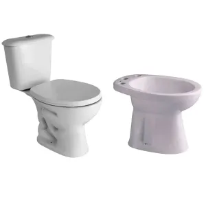 Inodoro Con Mochila Bidet Tapa Andina Ferrum completo P