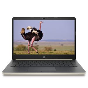 Notebook HP 14 Core i3 10ma 16gb + 240 SSD / Gold Win 10