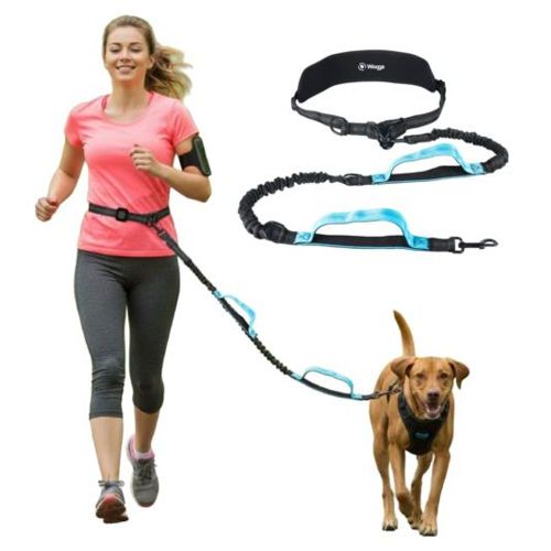 Correa Perro Manos Libres 2mts Waggs Cinturón Paseo Running Celeste