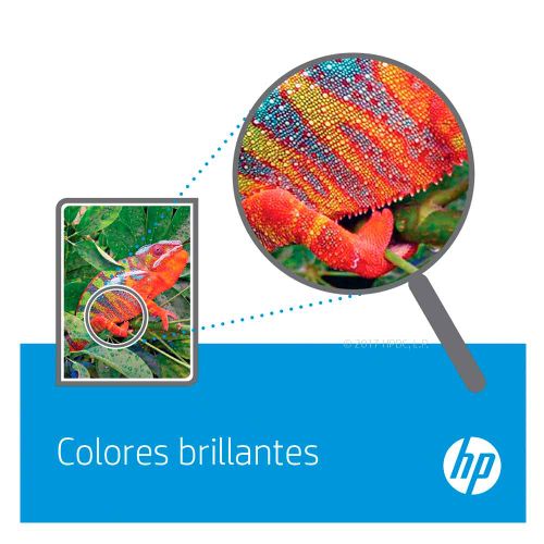 Cartucho de tinta HP 664 negra Original (F6V29AL)