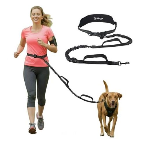 Correa Perro Manos Libres 2mts Waggs Cinturón Paseo Running Negra