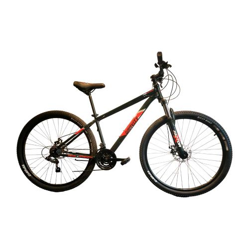 Mountain best sale bike r29