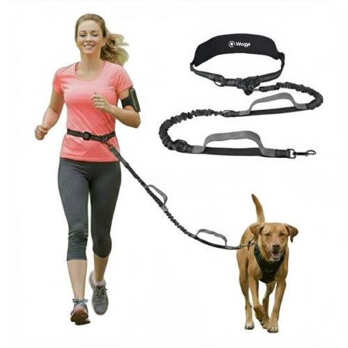 Correa Perro Manos Libres 2mts Waggs Cinturón Paseo Running Gris