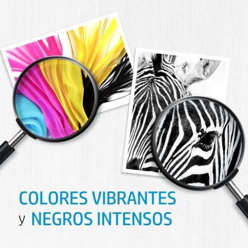 Cartucho de Tinta HP 664 Negro Original