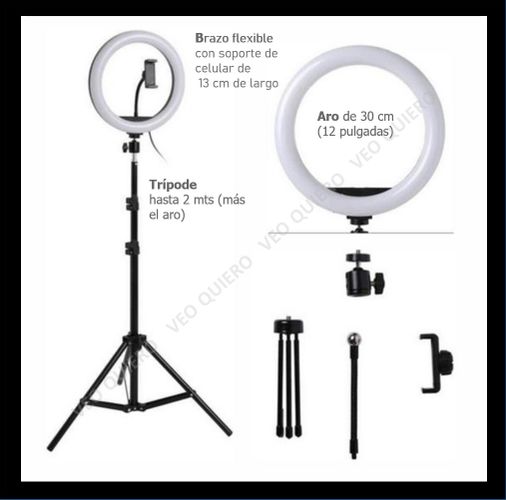 Aro de Luz de 26 cm 3 tonalidades con Trípode de 2.10 m y Soporte para  Celular Mejor Calidad