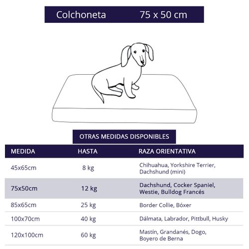 Cama Colchoneta Para Perros Lola Pets Antidesgarro 65x45 Cm