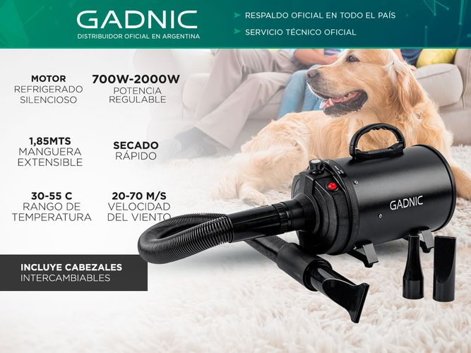 Secador de Pelo Profesional Para Perros Gadnic PD2000 2000W