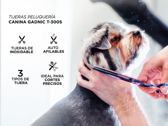Peluquería Canina MÃ¡quina Para Cortar Pelo Para Perros